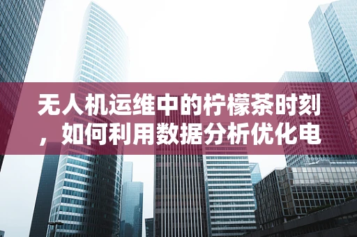 无人机运维中的柠檬茶时刻，如何利用数据分析优化电池管理？