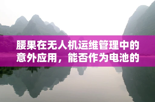 腰果在无人机运维管理中的意外应用，能否作为电池的替代性散热材料？