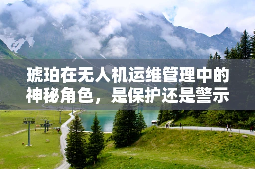 琥珀在无人机运维管理中的神秘角色，是保护还是警示？