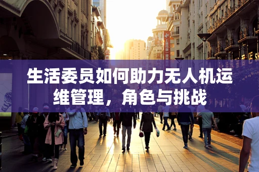 生活委员如何助力无人机运维管理，角色与挑战