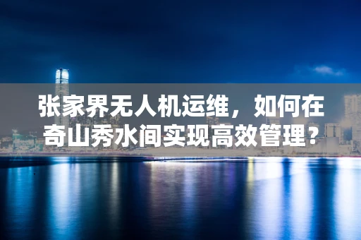 张家界无人机运维，如何在奇山秀水间实现高效管理？