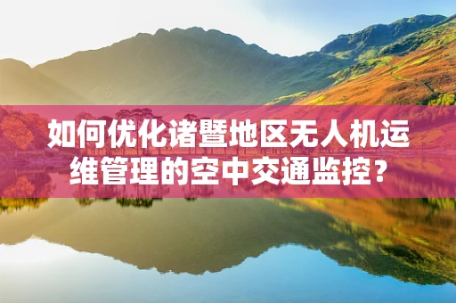 如何优化诸暨地区无人机运维管理的空中交通监控？