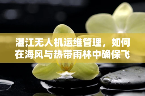 湛江无人机运维管理，如何在海风与热带雨林中确保飞行安全？