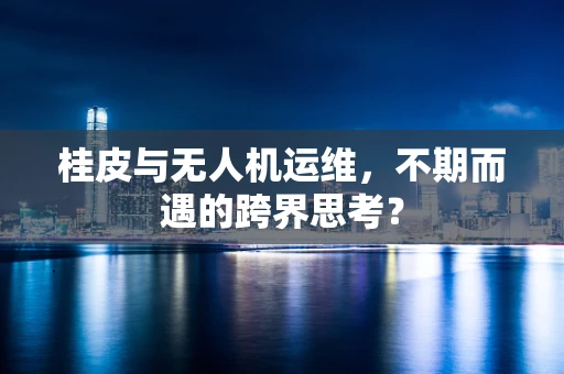 桂皮与无人机运维，不期而遇的跨界思考？