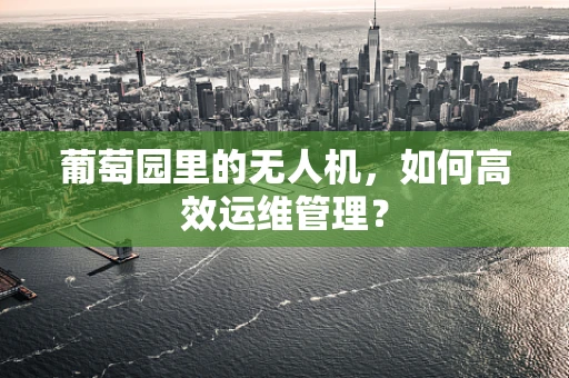 葡萄园里的无人机，如何高效运维管理？