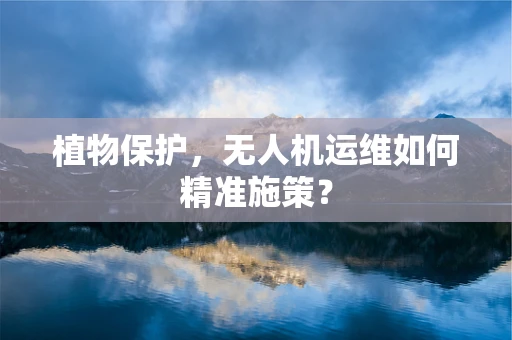 植物保护，无人机运维如何精准施策？