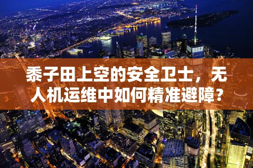 黍子田上空的安全卫士，无人机运维中如何精准避障？