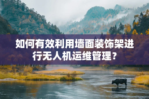 如何有效利用墙面装饰架进行无人机运维管理？