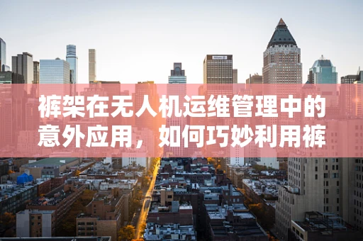 裤架在无人机运维管理中的意外应用，如何巧妙利用裤架进行无人机部件整理？