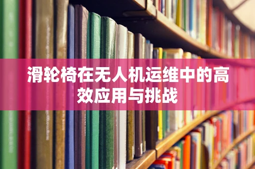 滑轮椅在无人机运维中的高效应用与挑战