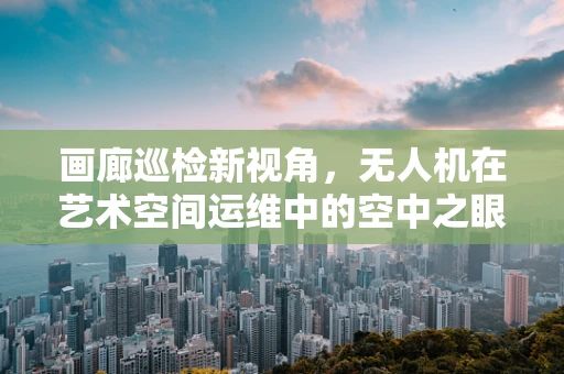 画廊巡检新视角，无人机在艺术空间运维中的空中之眼