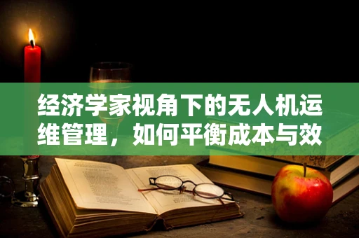 经济学家视角下的无人机运维管理，如何平衡成本与效率？