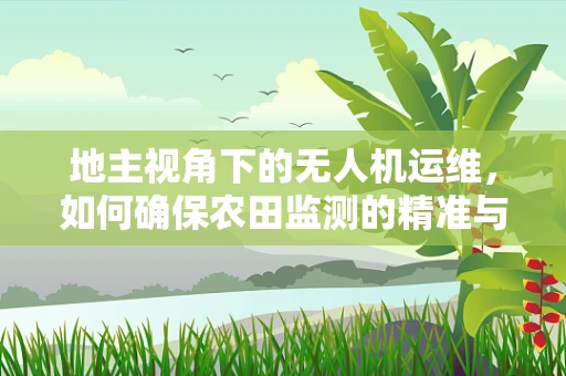 地主视角下的无人机运维，如何确保农田监测的精准与安全？