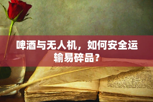 啤酒与无人机，如何安全运输易碎品？
