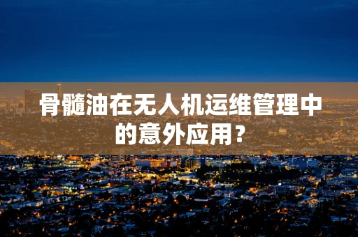 骨髓油在无人机运维管理中的意外应用？