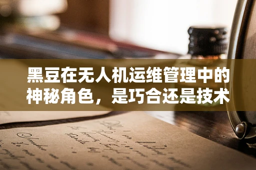 黑豆在无人机运维管理中的神秘角色，是巧合还是技术创新的火花？
