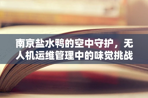 南京盐水鸭的空中守护，无人机运维管理中的味觉挑战