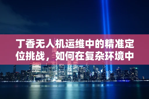 丁香无人机运维中的精准定位挑战，如何在复杂环境中实现高效追踪？