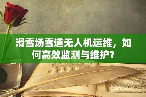 滑雪场雪道无人机运维，如何高效监测与维护？