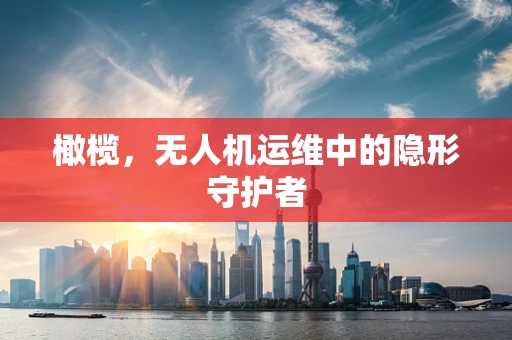 橄榄，无人机运维中的隐形守护者