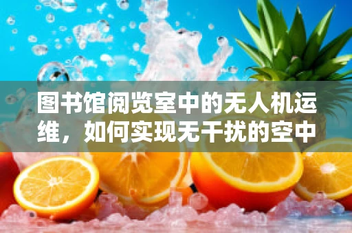 图书馆阅览室中的无人机运维，如何实现无干扰的空中监控？