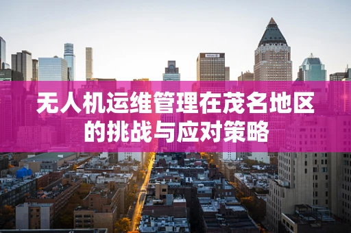 无人机运维管理在茂名地区的挑战与应对策略