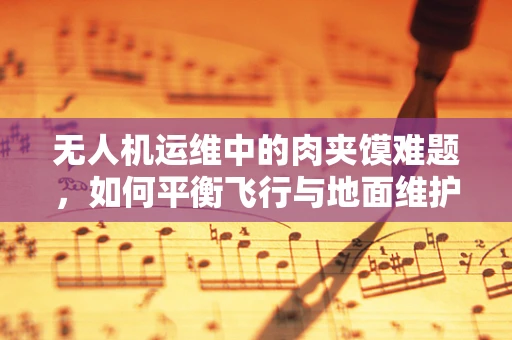 无人机运维中的肉夹馍难题，如何平衡飞行与地面维护的夹心挑战？