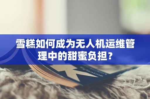 雪糕如何成为无人机运维管理中的甜蜜负担？
