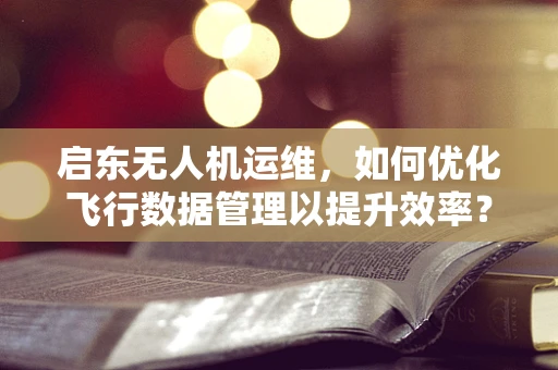 启东无人机运维，如何优化飞行数据管理以提升效率？