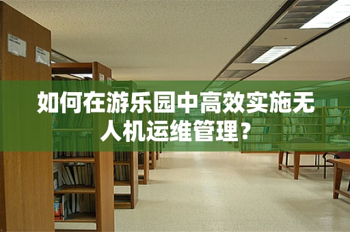 如何在游乐园中高效实施无人机运维管理？