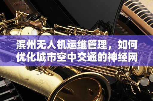 滨州无人机运维管理，如何优化城市空中交通的神经网络？