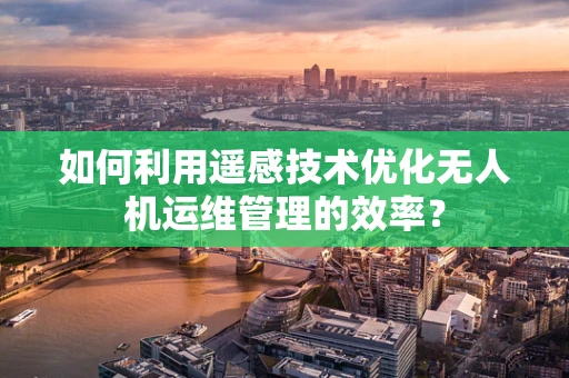 如何利用遥感技术优化无人机运维管理的效率？