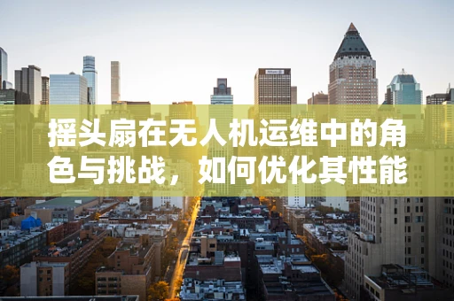 摇头扇在无人机运维中的角色与挑战，如何优化其性能与寿命？