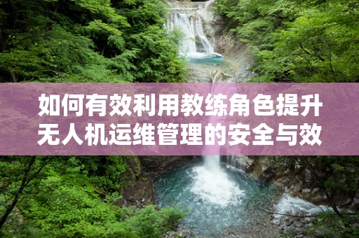 如何有效利用教练角色提升无人机运维管理的安全与效率？