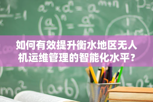 如何有效提升衡水地区无人机运维管理的智能化水平？