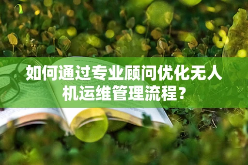 如何通过专业顾问优化无人机运维管理流程？