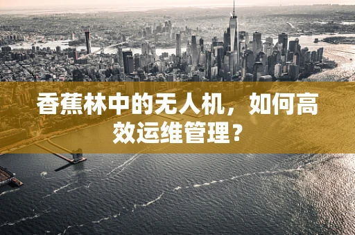 香蕉林中的无人机，如何高效运维管理？
