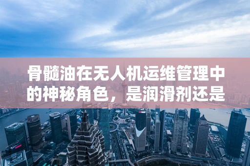骨髓油在无人机运维管理中的神秘角色，是润滑剂还是未知因素？