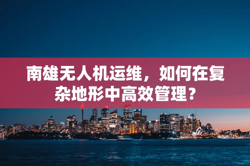 南雄无人机运维，如何在复杂地形中高效管理？