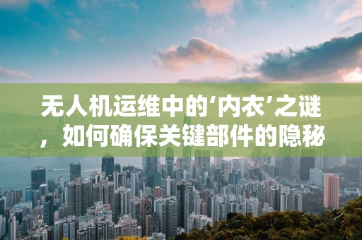 无人机运维中的‘内衣’之谜，如何确保关键部件的隐秘与安全？