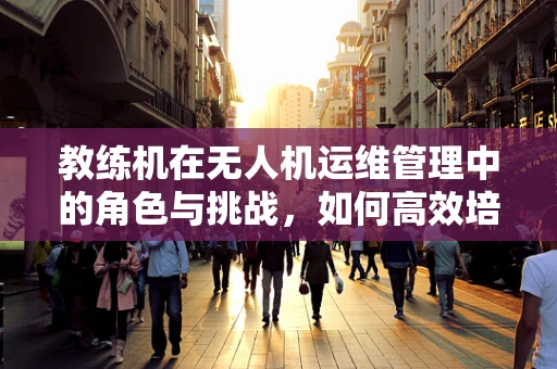 教练机在无人机运维管理中的角色与挑战，如何高效培养操作员？