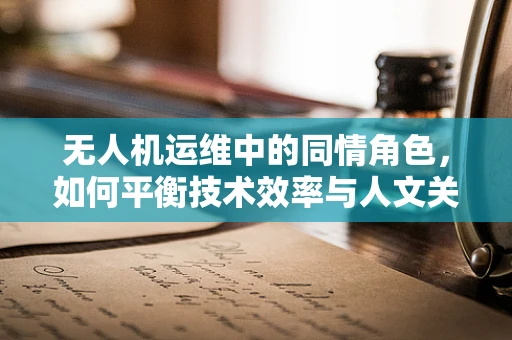 无人机运维中的同情角色，如何平衡技术效率与人文关怀？