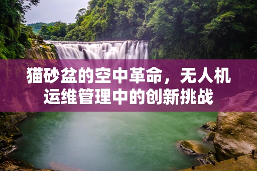 猫砂盆的空中革命，无人机运维管理中的创新挑战
