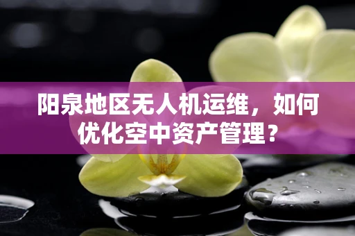 阳泉地区无人机运维，如何优化空中资产管理？