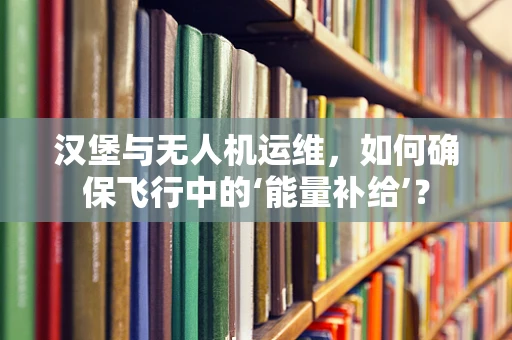 汉堡与无人机运维，如何确保飞行中的‘能量补给’？