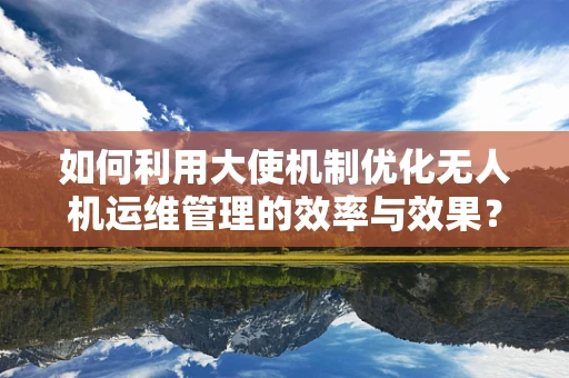 如何利用大使机制优化无人机运维管理的效率与效果？