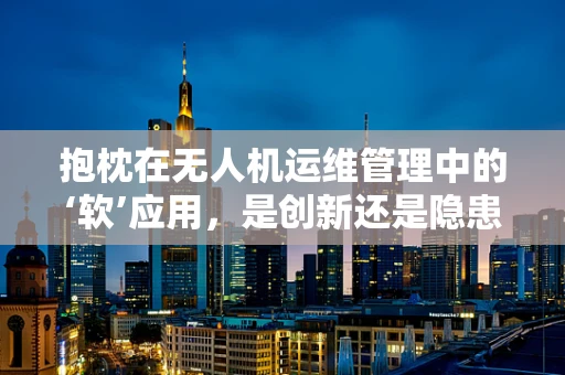 抱枕在无人机运维管理中的‘软’应用，是创新还是隐患？