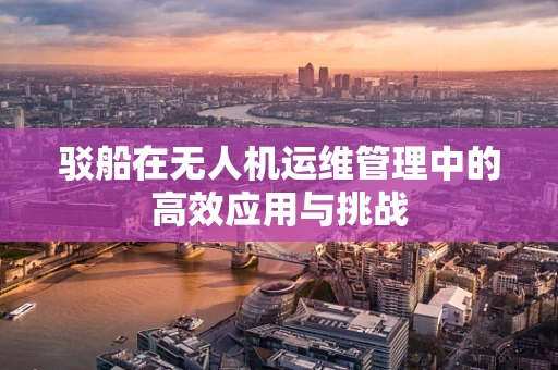 驳船在无人机运维管理中的高效应用与挑战