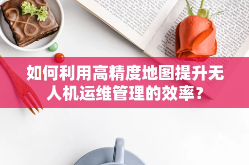 如何利用高精度地图提升无人机运维管理的效率？