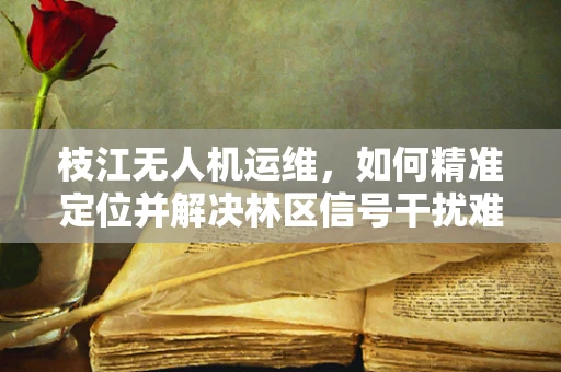 枝江无人机运维，如何精准定位并解决林区信号干扰难题？